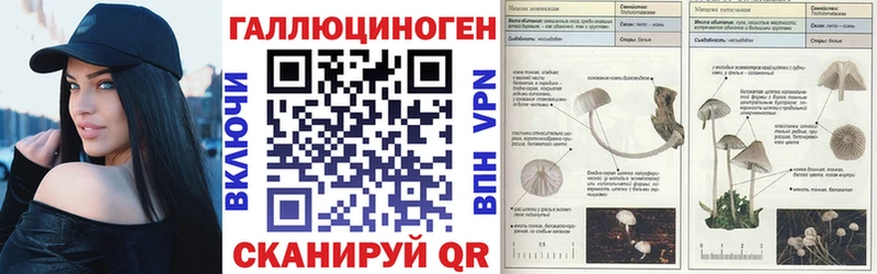 Галлюциногенные грибы Cubensis  Зуевка 